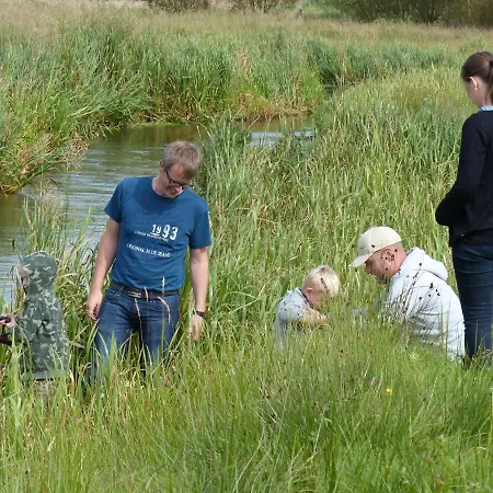 Bed & Breakfast Hesselhogaard Grindsted
