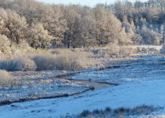 Hesselhogaard * Grindsted